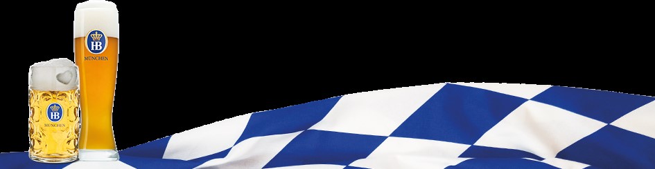 Program